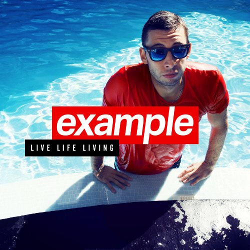 Example Live Life Living DX.jpg