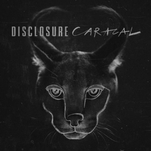 Caracal.jpg